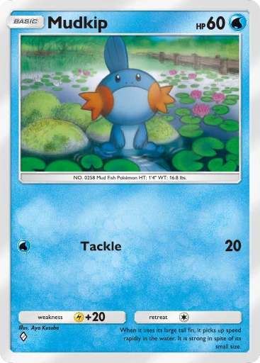 Mudkip card image