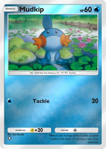 Mudkip card image