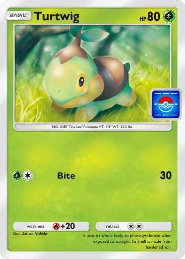 Turtwig #035